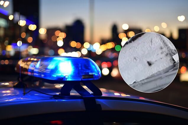 Сусіди разом із поліцією повернули ялинку власникам