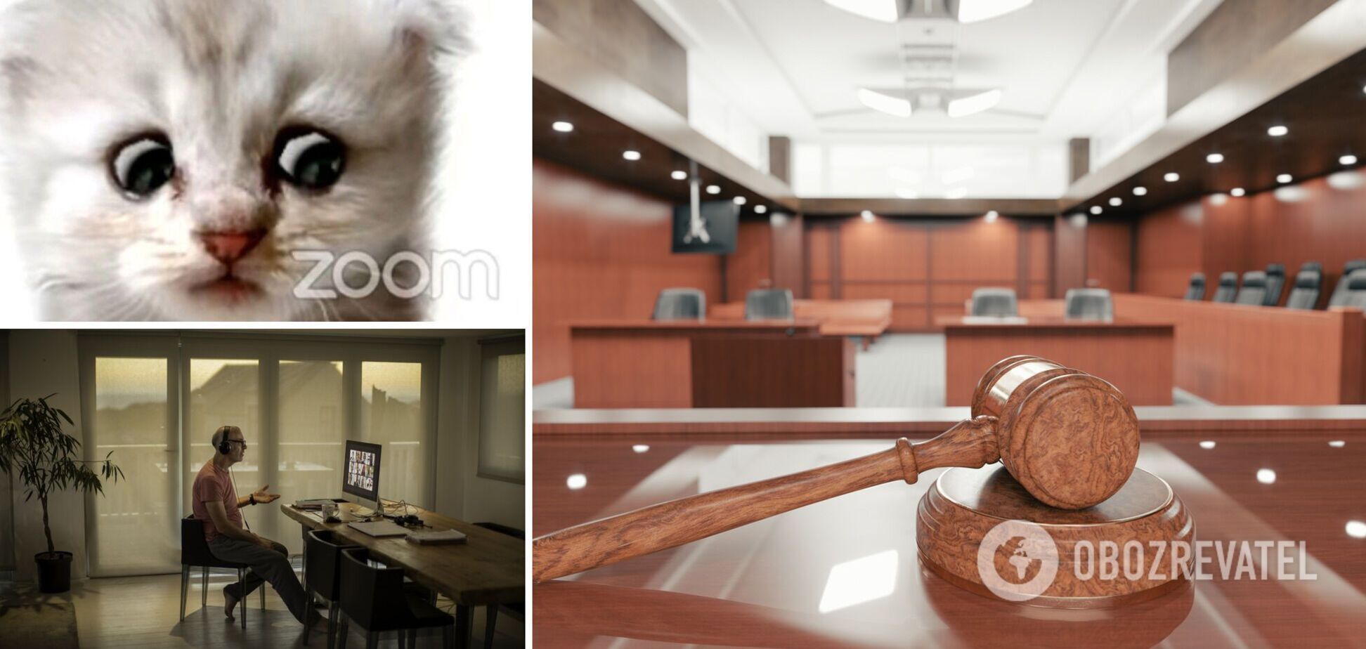 У США адвокат з'явився на судове засідання в Zoom під фільтром кота. Курйозне відео