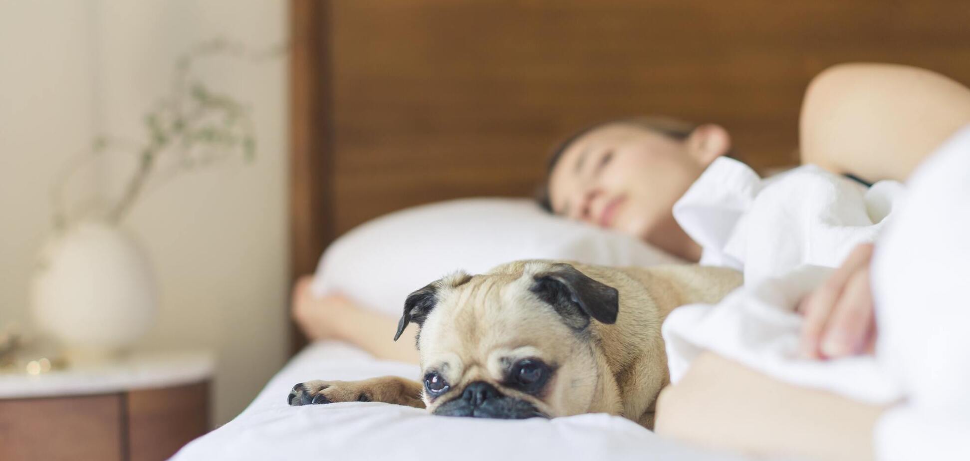 Как быстро заснуть: врач назвал главные правила