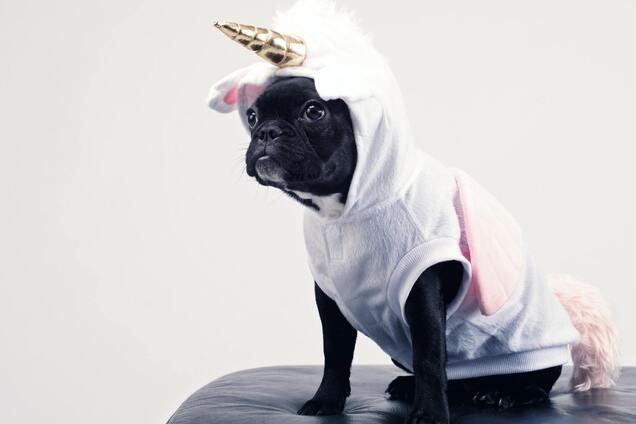 Анекдоти дня