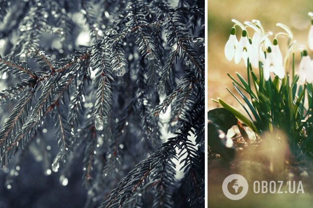 Когда в Украине начнется существенное потепление: названа дата