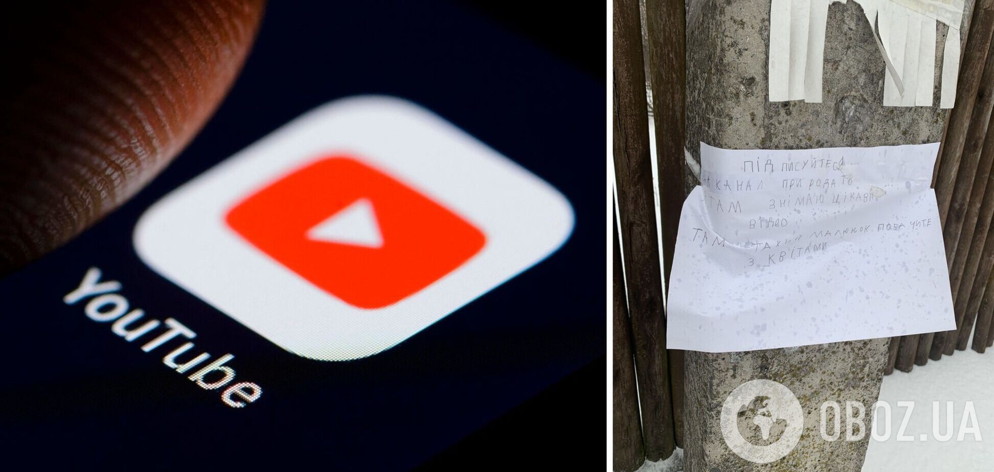 В Україні дівчинка стала зіркою YouTube після оголошення на стовпі: в мережі флешмоб підтримали МВС і НАБУ