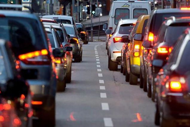 Питон выполз на трассу и устроил транспортный коллапс. Видео