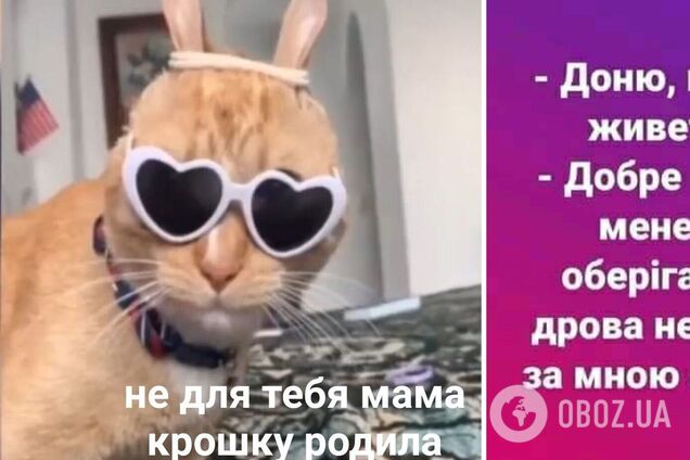 Анекдоти дня