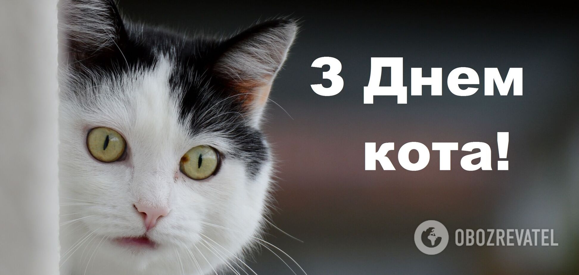 Неуловимую красоту с нами делит