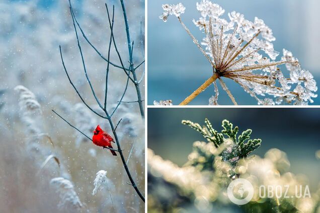 Зима в Україні