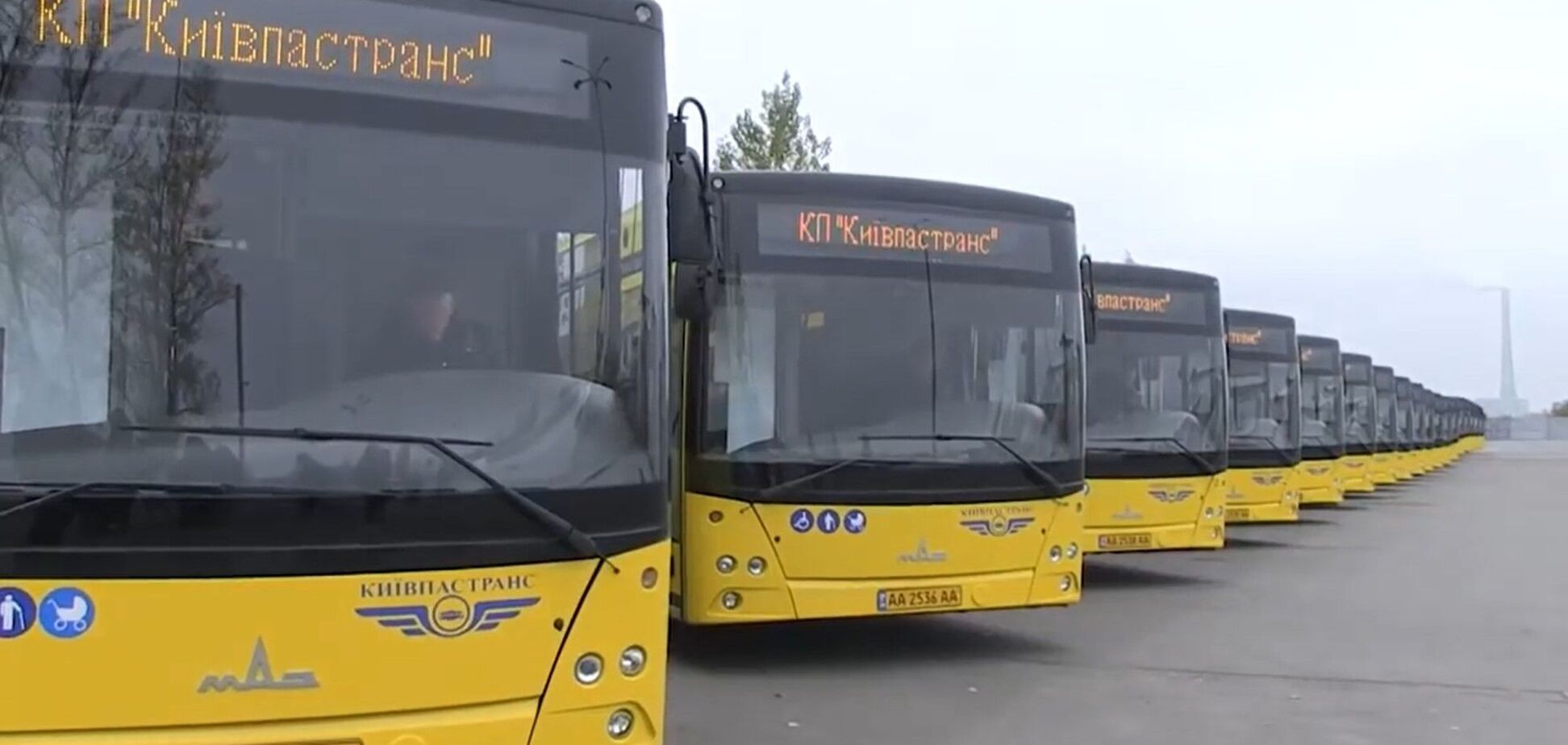 Серед незвичайних речей – вставна щелепа та п'ять кабачків