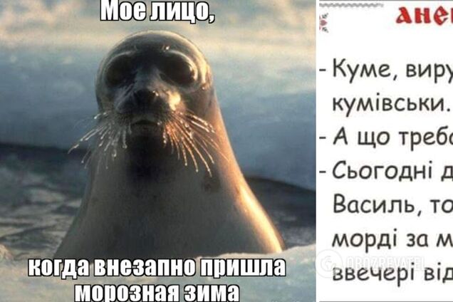 Анекдоти дня