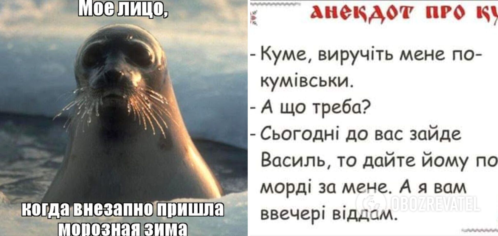 Анекдоты дня