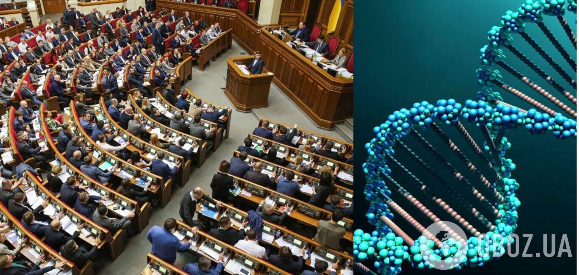 Нардепы не одобрили законопроект о сборе ДНК украинцев