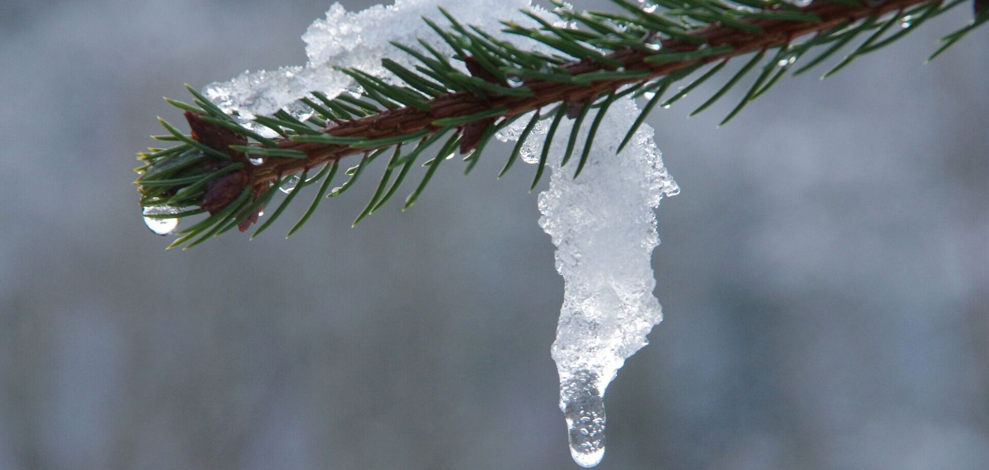 Оттепель в Украине