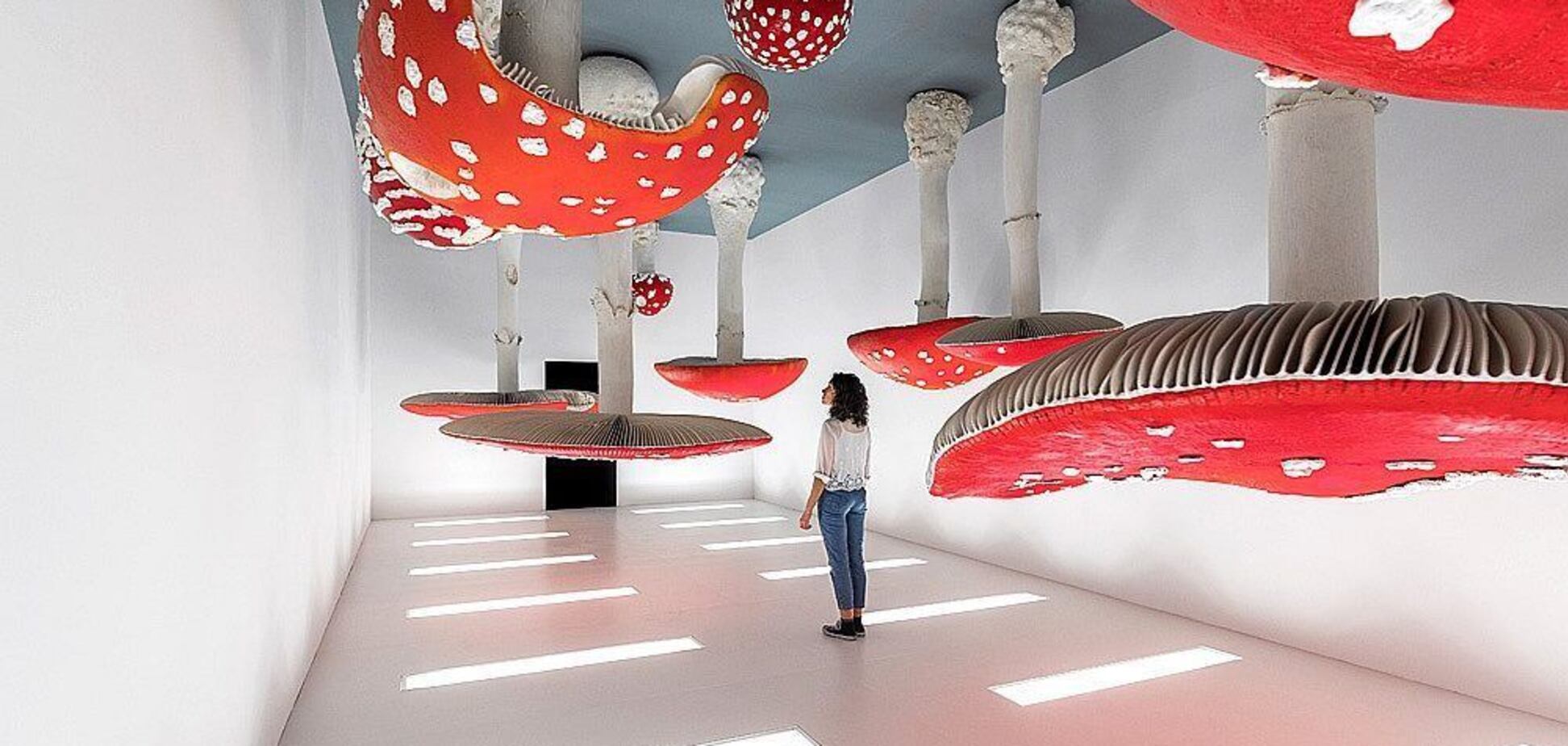 Как стать коллекционером, или Произведения искусства – это дорого?