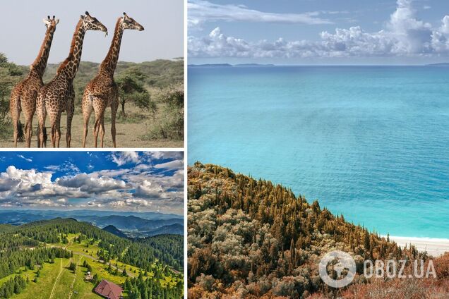 Албанія, Болгарія і Занзібар відриті для відпочинку навесні