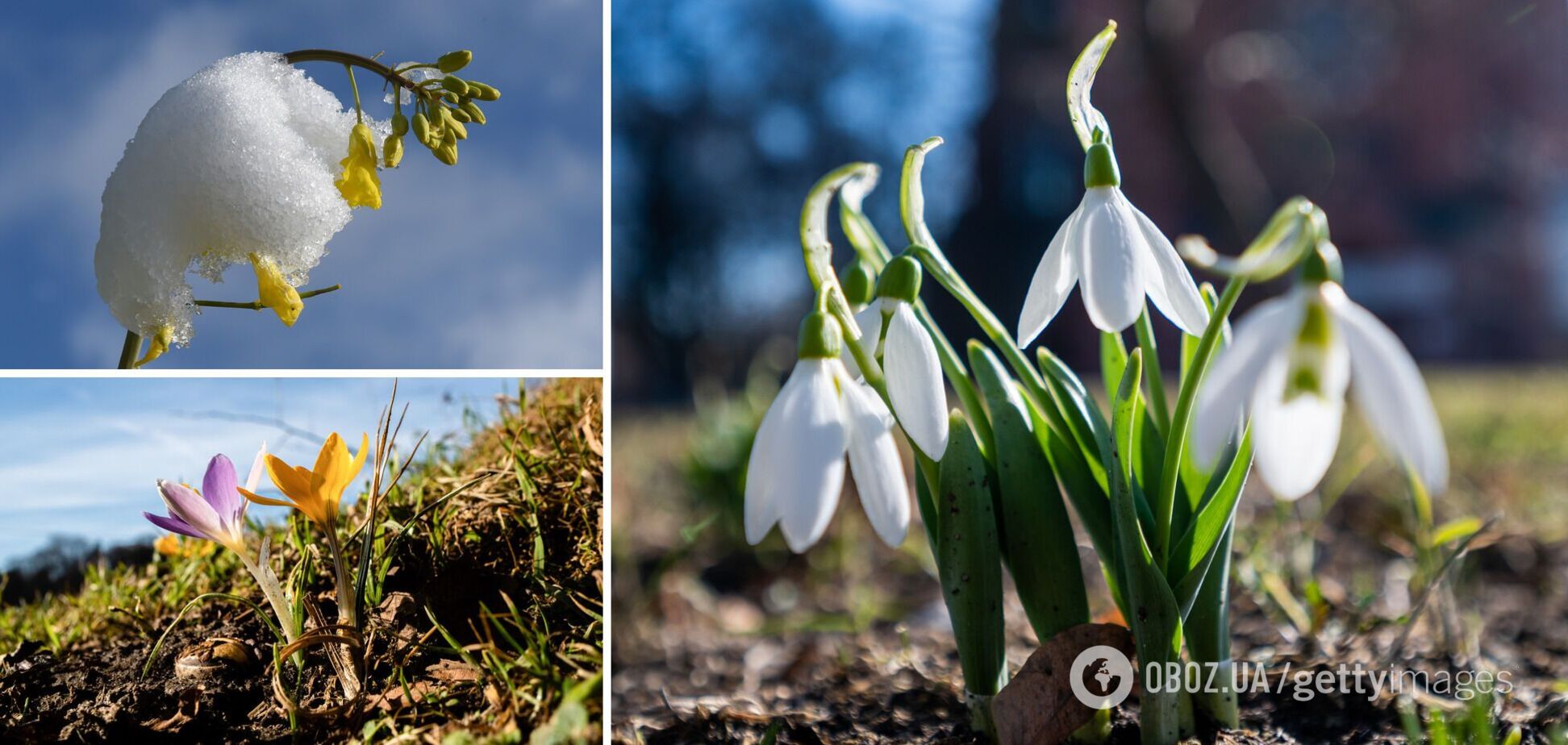 В Україну йде потепління, сніг швидко зникне: синоптикиня сказала, коли настане справжня весна