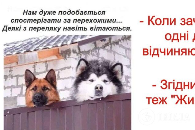 Анекдоти, меми, приколи