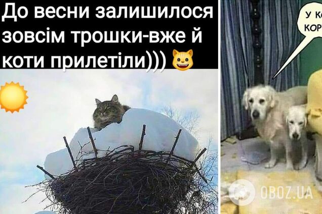 Анекдоти, приколи, меми