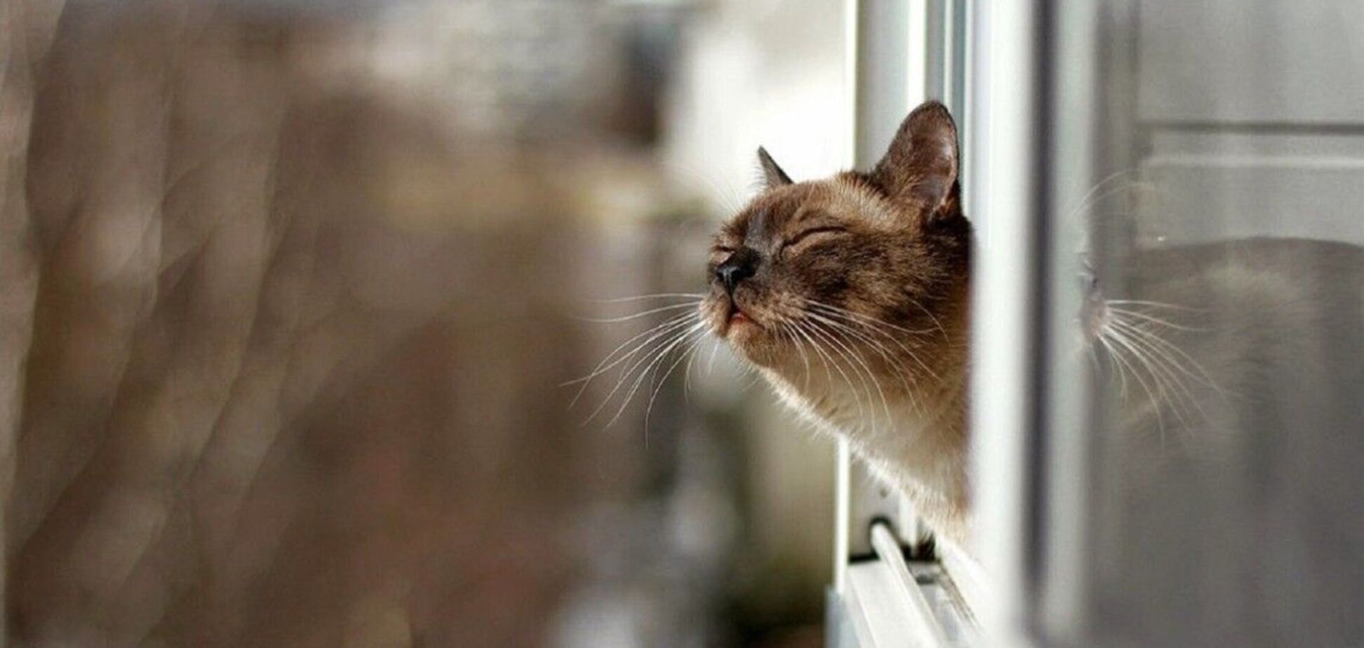 В пятницу днем ожидается до 11 градусов тепла