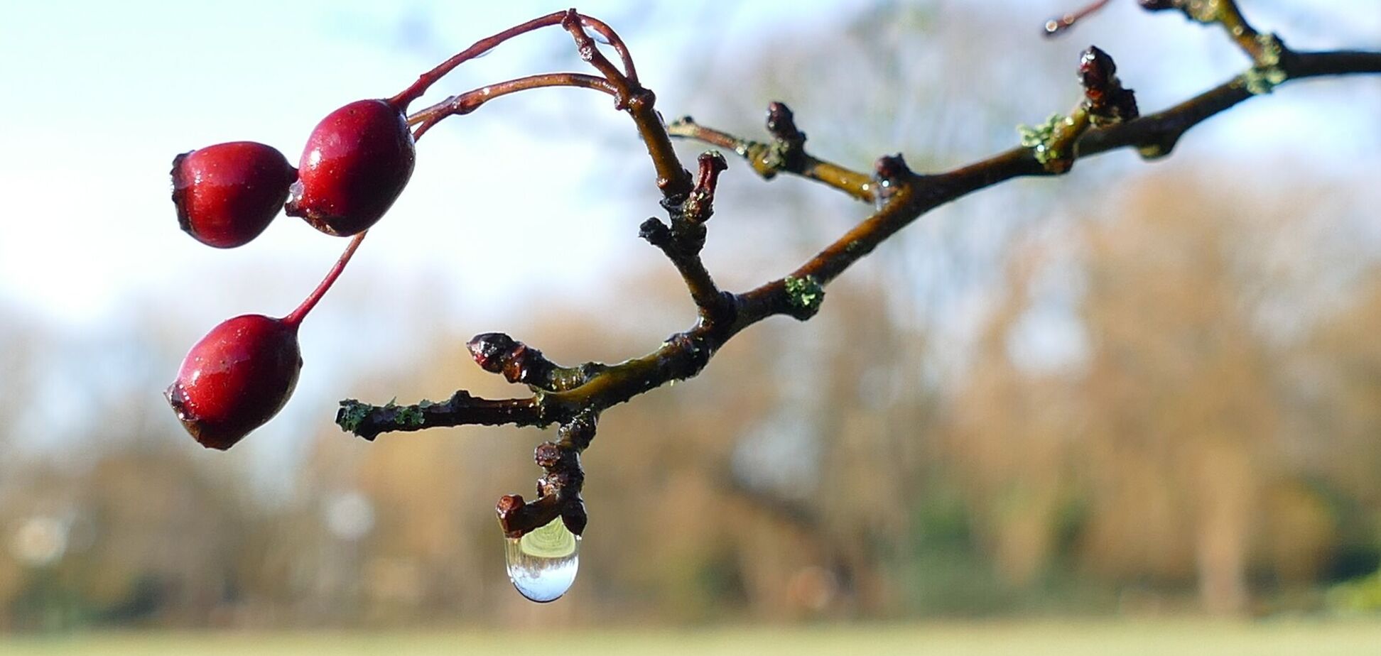Весенняя погода