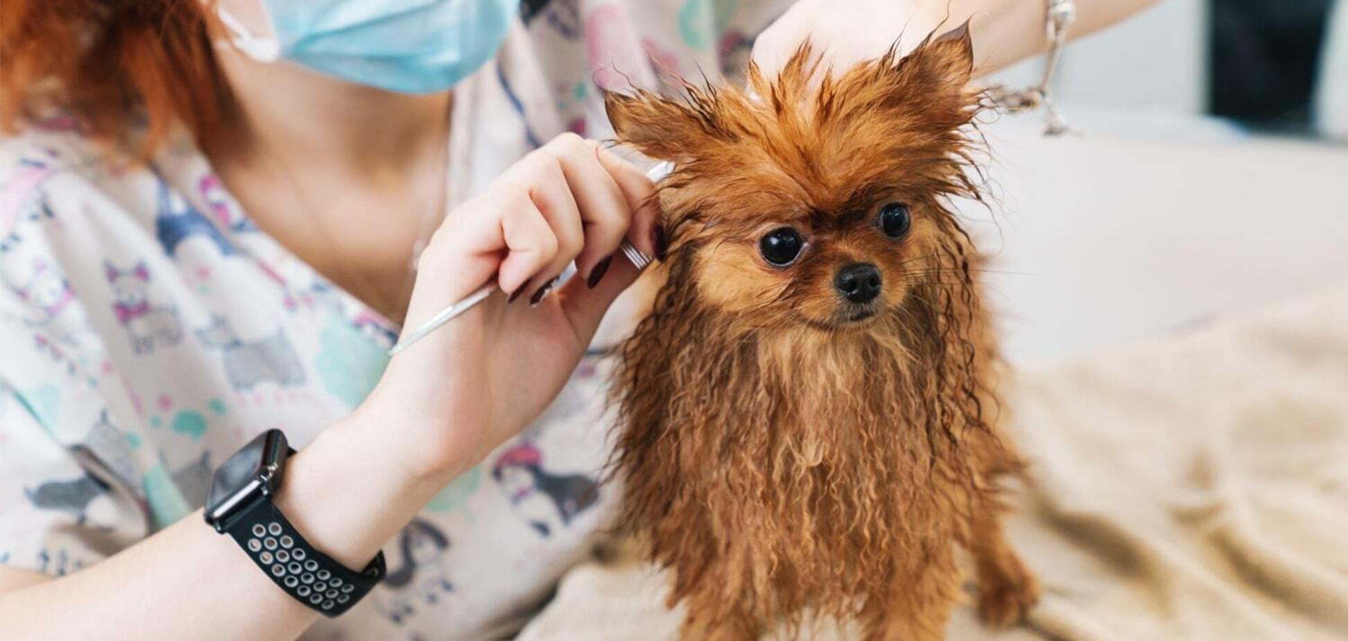 Груминг-салон