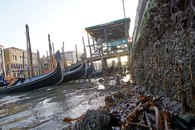 У Венеції пересохли знамениті канали, вулиці спорожніли. Відео