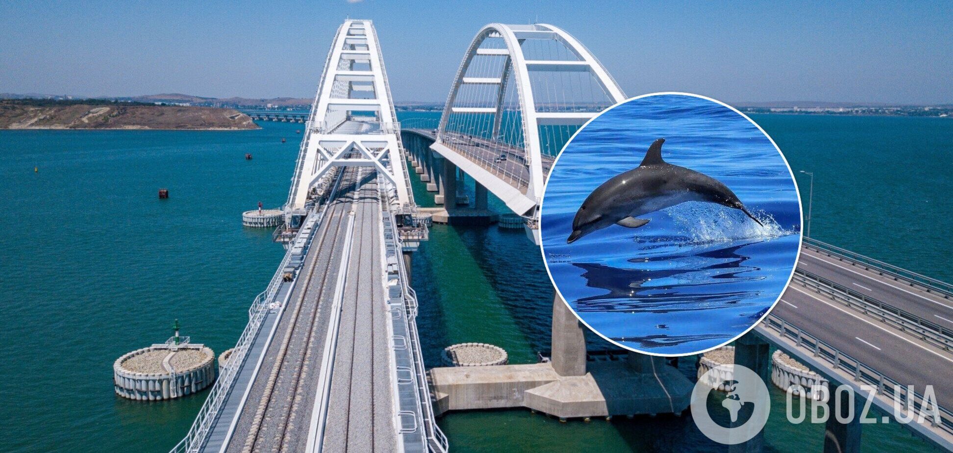 Из-за Крымского моста в Азовском море пропали редкие дельфины,  – эколог