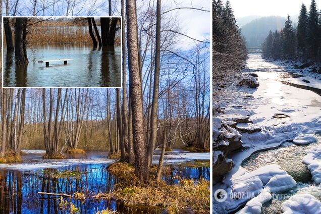 Синоптики назвали області України, яким загрожують паводки