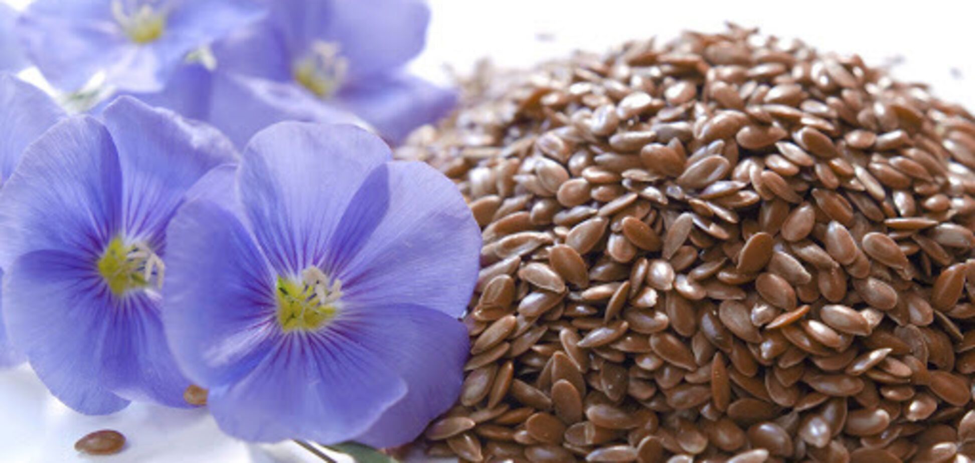 Семена льна: кому категорически запрещено употреблять