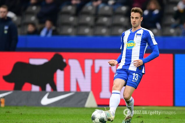 Собака на футбольному полі