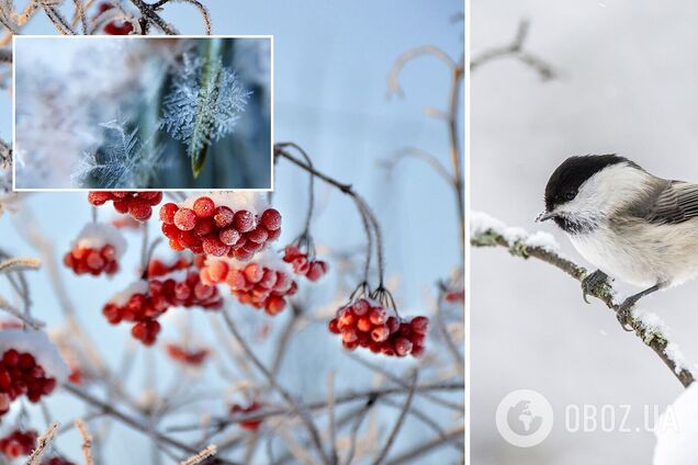 Прогноз погоди в Україні
