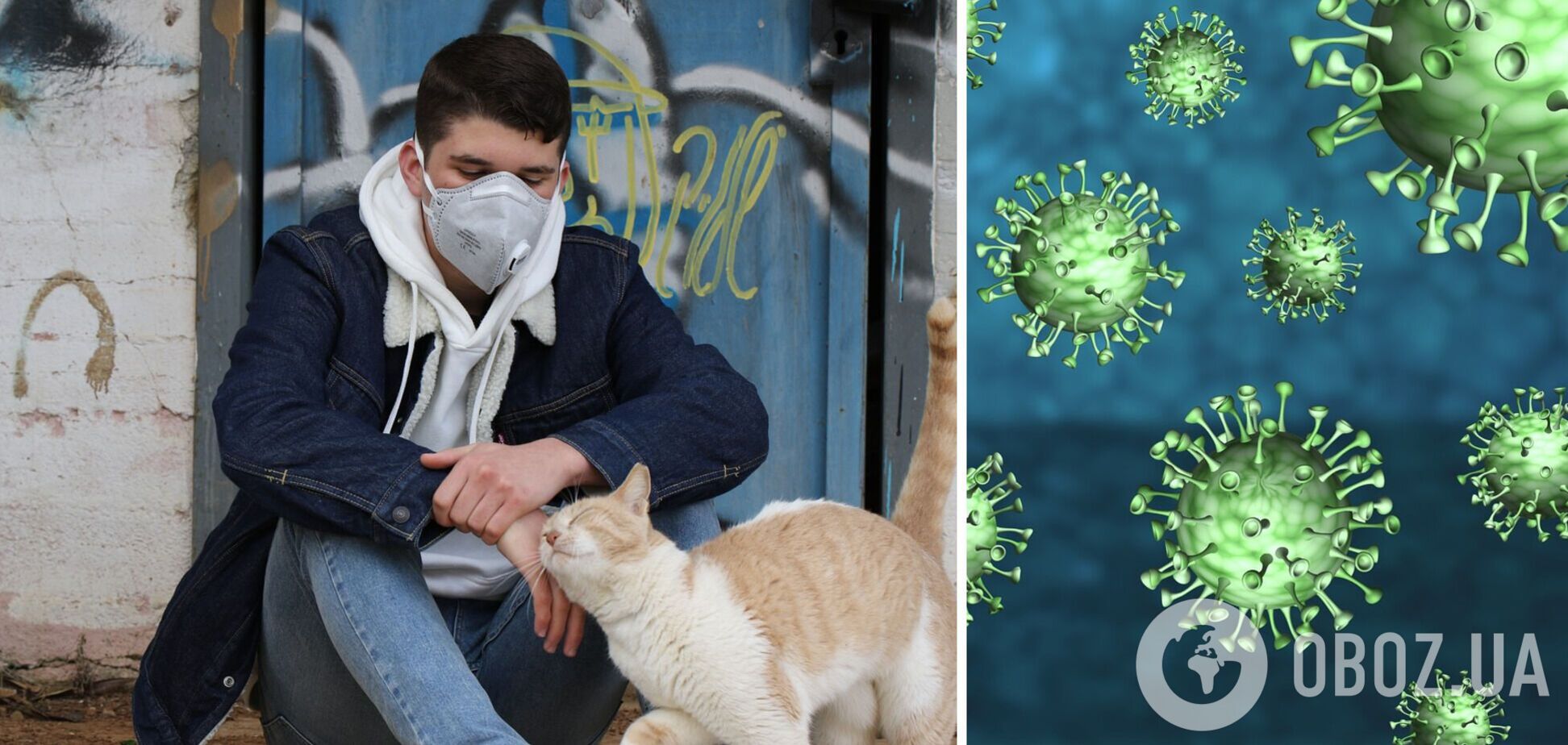 В ВОЗ исключили версию об искусственном происхождении коронавируса и заподозрили кошек
