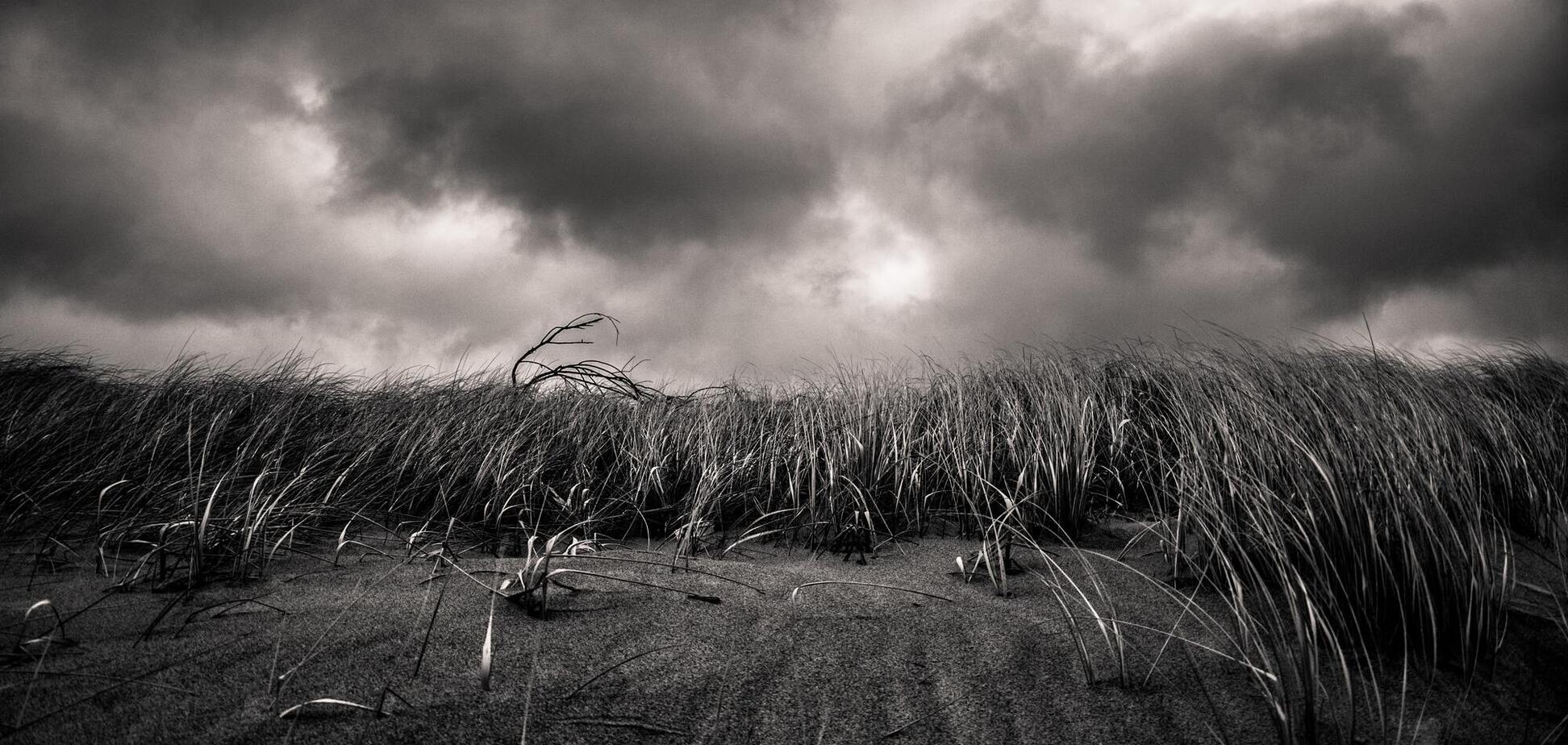 Фэн-шуй прогноз на март