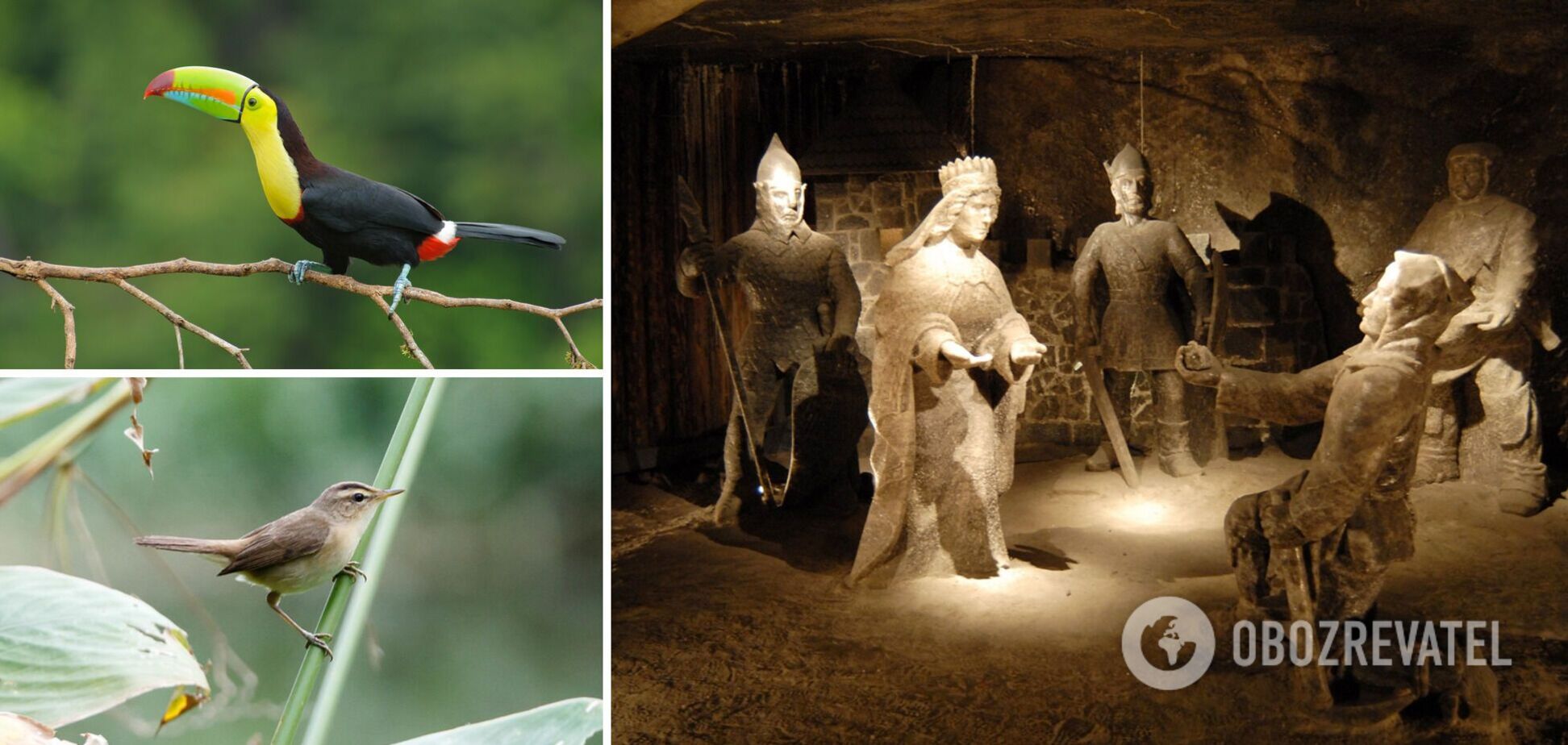 Мистическая соляная шахта, редкие животные и другие интересные факты