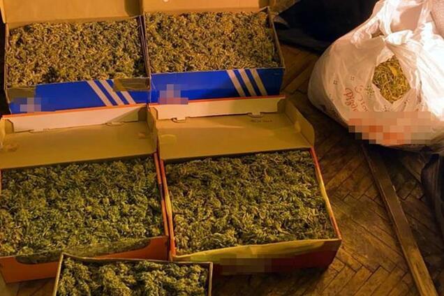 У киянки вилучили наркотики на1 мільйон гривень. Фото