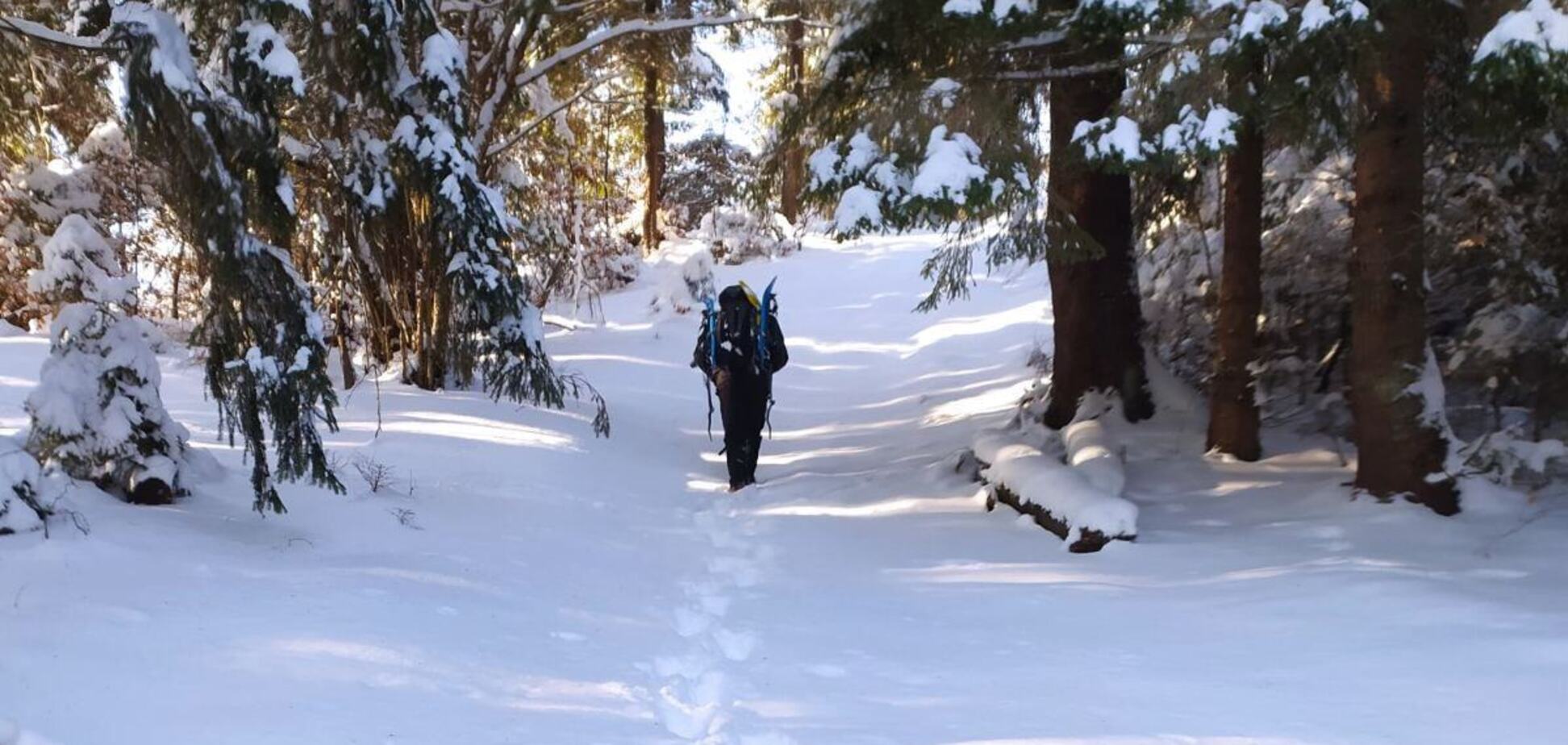 В Карпатах пропал турист