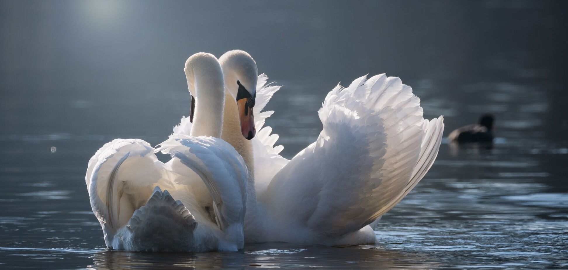 15 березня: свята, прикмети на Федота Вітроноса й іменинники
