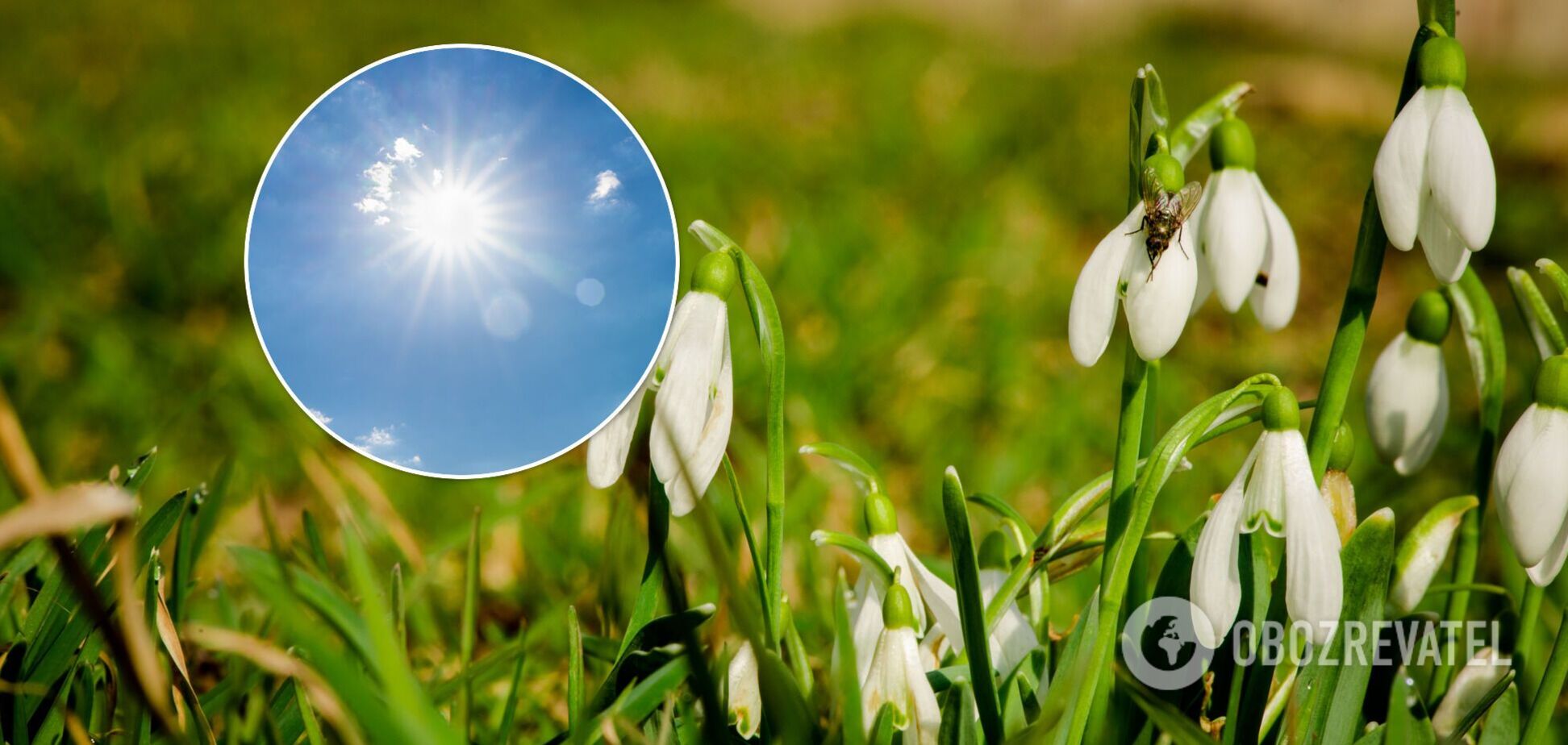 Погода в Украине 14 марта