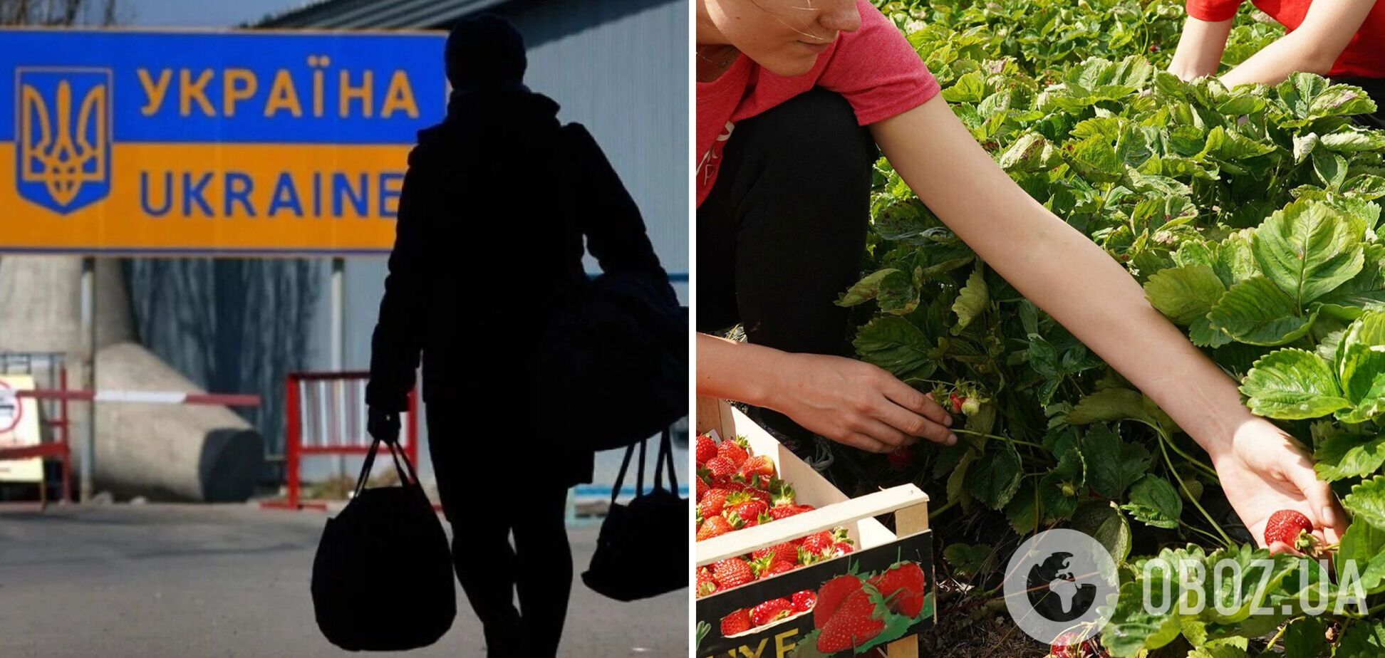 Украинские заробитчане