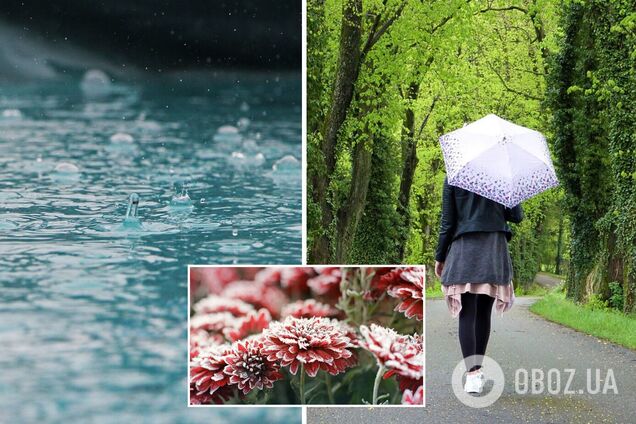 Весна в Украине будет с ночными морозами и дождями: синоптик дал прогноз на апрель и май