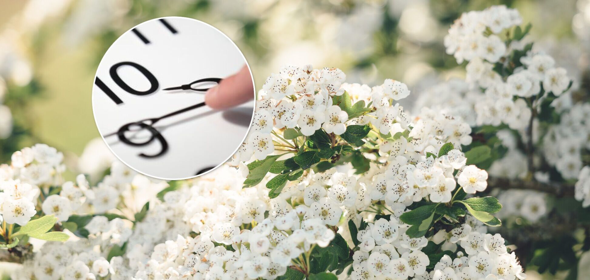 В Раде 19 марта решат, перейдет ли Украина на летнее время