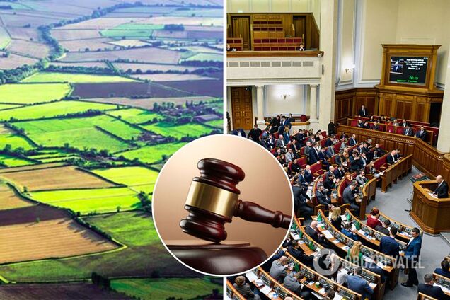 В Україні продаватимуть земельні ділянки на аукціонах: Рада встановила правила