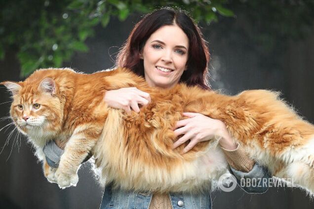 Эти животные стали рекордсменами по размерам