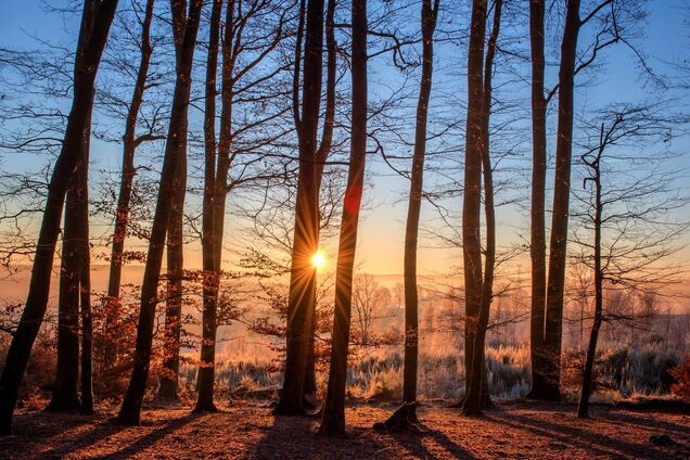 16 марта: праздник, приметы на день Евтропия и именинники