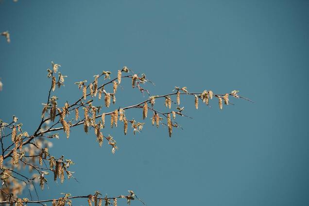 Астропрогноз на апрель