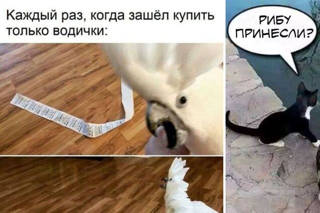 Анекдоти дня: приколи та меми за 16 березня