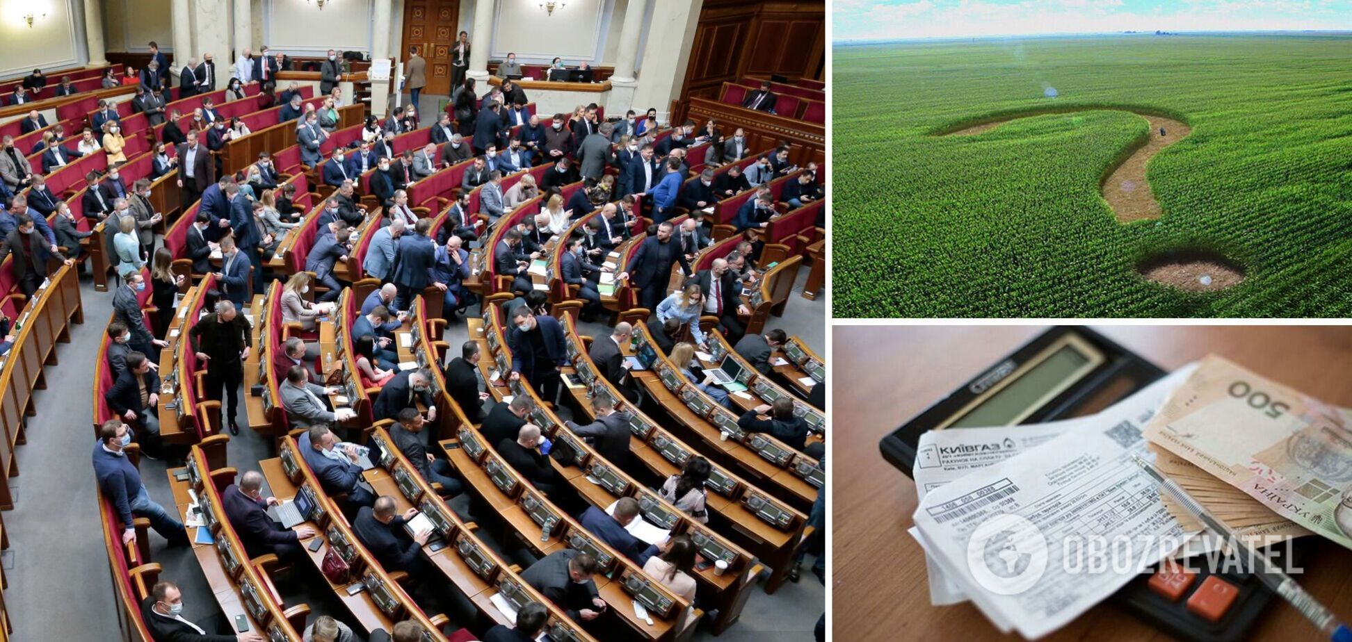 Украинцы могут бесплатно получить гектары земли: что на самом деле изменил Кабмин