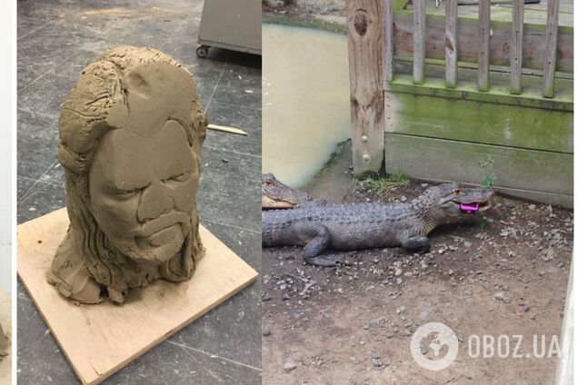 Крокодил з'їв смартфон, а витончена скульптура впала з полиці
