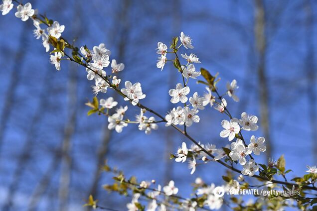 Весна в Украине