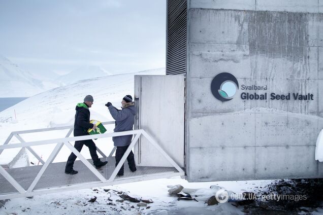 Названо місця на Землі, де можна сховатися від глобальної катастрофи