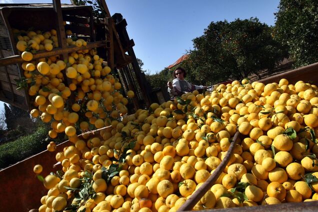 В Украину из Турции завезли фрукты с опасным пестицидом