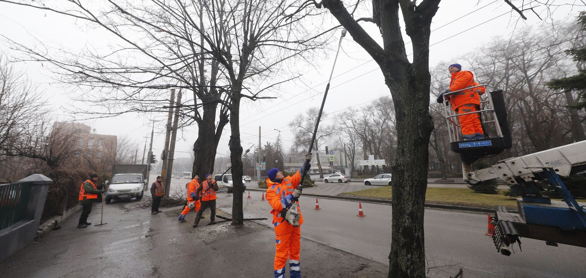 У Дніпрі комунальники обрізають гілки, які сильно нависли над контактними мережами